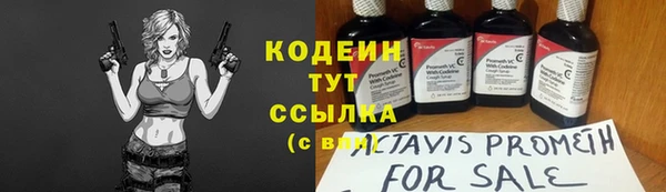 сатива Кинешма