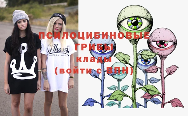 сатива Кинешма