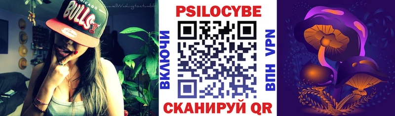 Купить закладки  Данилов  Псилоцибиновые грибы Psilocybe 